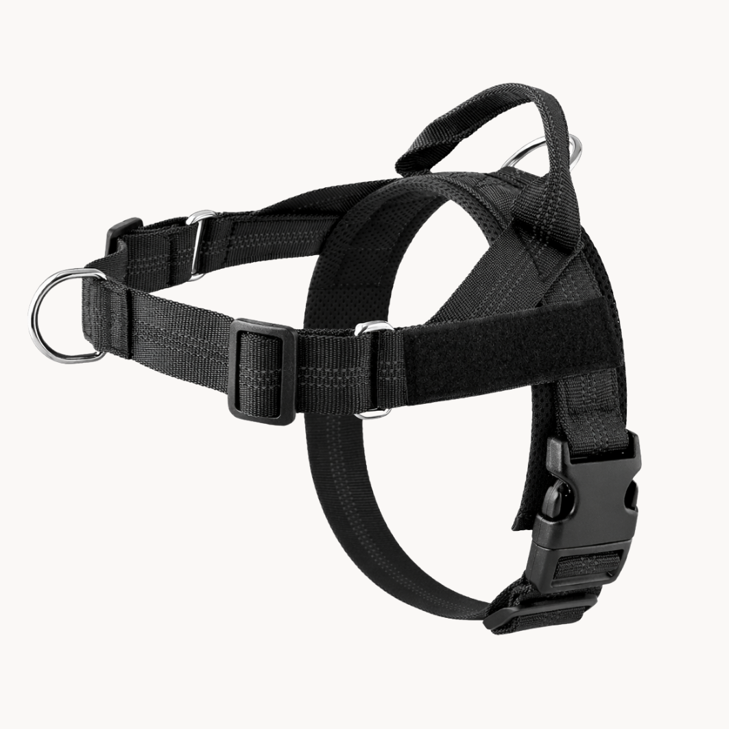 Velaris™ No-Pull Dog Harness