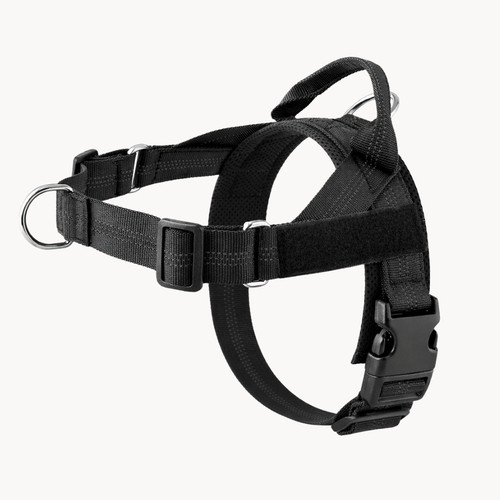 Velaris™ No-Pull Dog Harness