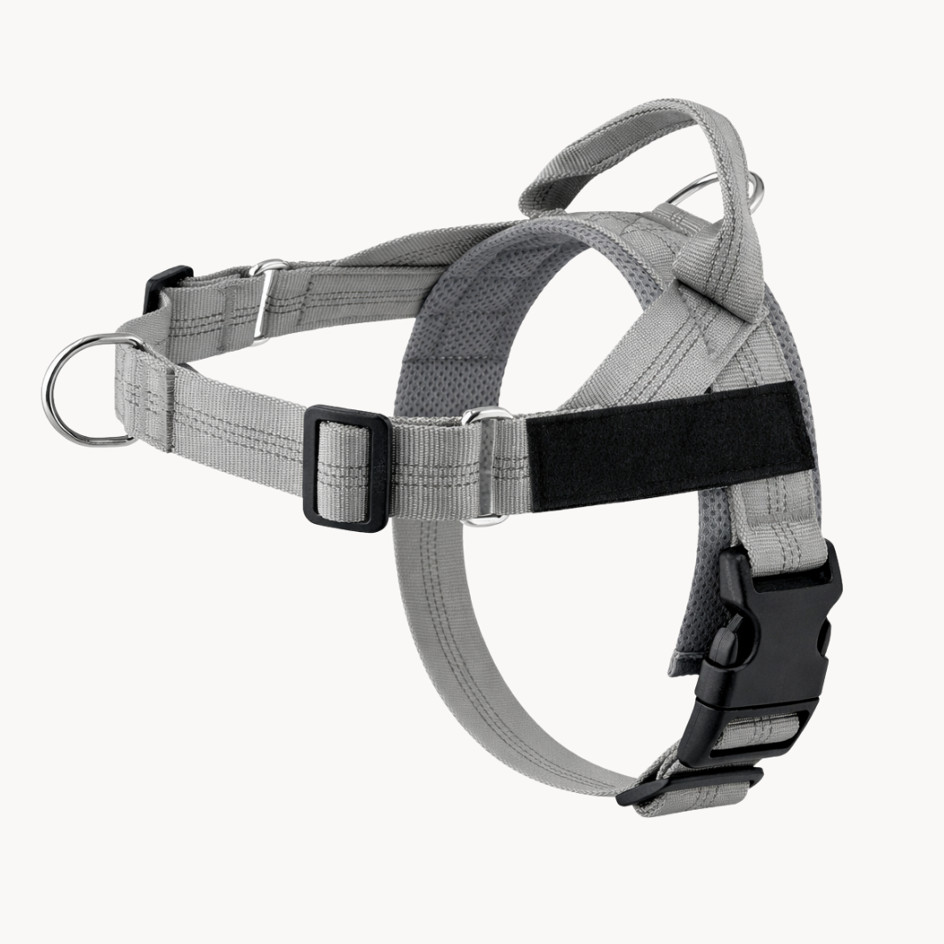 Velaris™ No-Pull Dog Harness
