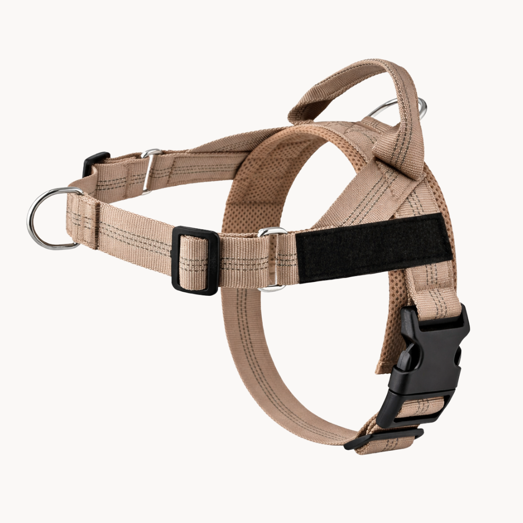 Velaris™ No-Pull Dog Harness