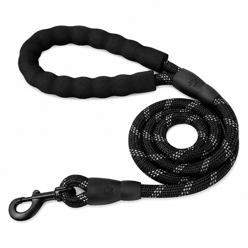 Dog Leash