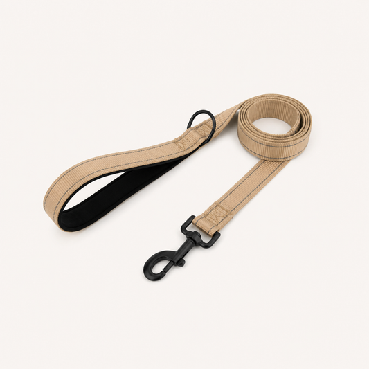 Everyday Dog Leash